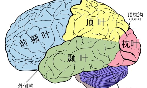 【齐鲁制药的药品名称有哪些图片】齐鲁制药20mg价格表 - 齐鲁气片的说明书网