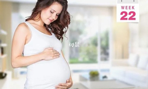 【齐鲁制药的药品名称有哪些图片】齐鲁制药20mg价格表 - 齐鲁气片的说明书网